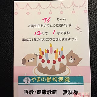 アイちゃんのインテリア実例 - 2013-12-03 07:18:06