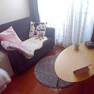 リビング/1K/一人暮らし/ニトリ/ソファ...などのインテリア実例 - 2020-02-23 11:56:16