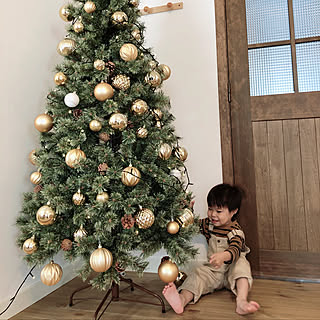3歳息子/子供と暮らす。/3歳児/クリスマスツリー/クリスマス...などのインテリア実例 - 2019-11-18 09:18:44