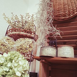 部屋全体/東海エコフェスタ/いなざうるす屋さん/RC名古屋/RC愛知のインテリア実例 - 2015-04-11 18:59:42