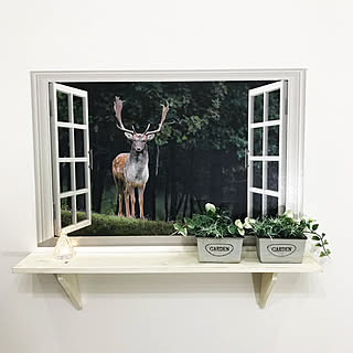 トリックアートのインテリア実例 Roomclip ルームクリップ