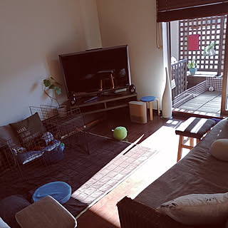 リビング/salut！/3COINS/ミニチュアシュナウザー/nico and......などのインテリア実例 - 2019-12-29 02:35:15