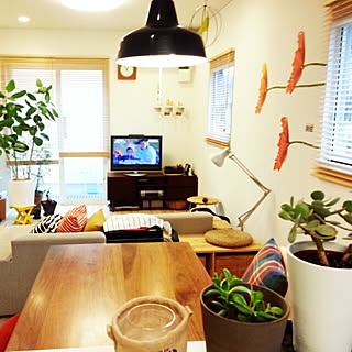部屋全体/お片付け/北欧/セリア/シンプル　...などのインテリア実例 - 2014-11-02 13:09:24