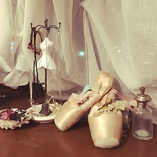 バレエのトゥシューズのインテリア実例 Roomclip ルームクリップ