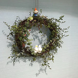 ユーフォルビア ダイヤモンド フロスト/初雪かずら/オレガノケントビューティー/スノークのおじょうさん/ワイヤープランツ...などのインテリア実例 - 2020-05-20 21:19:41