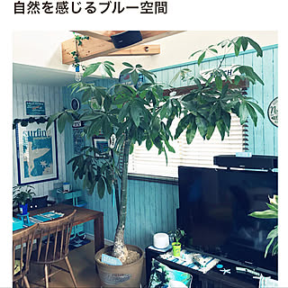 リビング/ビーチハウス/西海岸スタイル/サーファーズインテリア/観葉植物...などのインテリア実例 - 2018-05-07 23:29:31