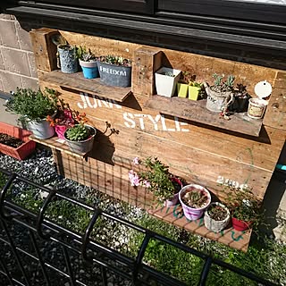 多肉植物 木製パレットのインテリア実例 Roomclip ルームクリップ