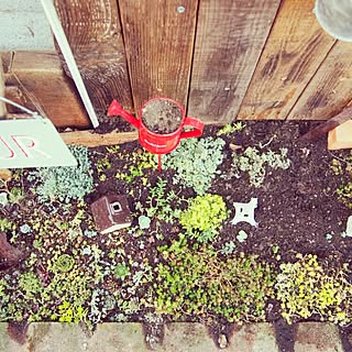 玄関/入り口/IG→ryohrkw/NO GREEN NO LIFE/多肉植物/目標はイングリッシュガーデン★...などのインテリア実例 - 2015-03-30 17:15:38