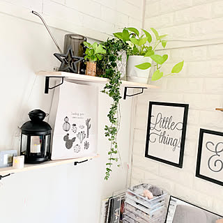 観葉植物ディスプレイのインテリア実例 Roomclip ルームクリップ