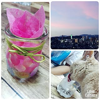 100均/100均diy/いいね&フォローありがとうございます☆/六つ子同好会のインテリア実例 - 2017-07-01 21:43:39