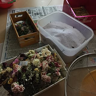 朝からバテバテ(┯_┯)/夏並みの暑さ(*థ౪థ)/時間が足りない><。/やりたい事だらけ…/資材揃えたワックスバー...などのインテリア実例 - 2017-05-11 10:46:25