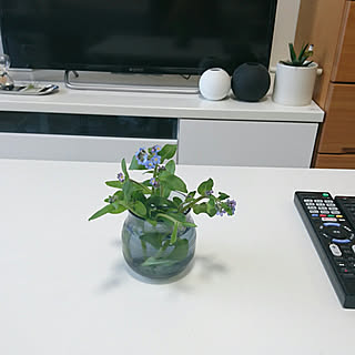 机/ひとり暮らし 1K/ケーラー オマジオのインテリア実例 - 2018-03-11 15:51:45