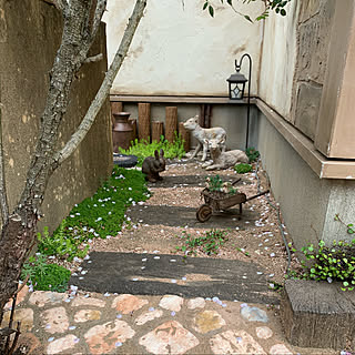 桜の花びらのインテリア実例 Roomclip ルームクリップ