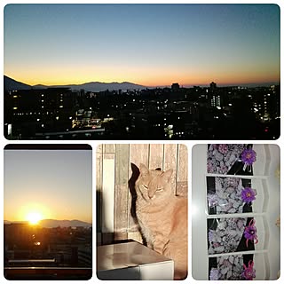 100均DIY/いいね&フォローありがとうございます☆/Blue Clover/六つ子同好会のインテリア実例 - 2017-02-16 09:05:29