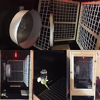 ケージdiy 自作ケージのインテリア 手作りの実例 Roomclip ルームクリップ