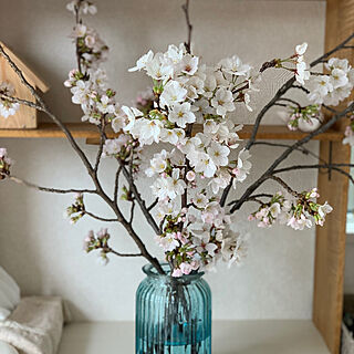 桜の枝/花のある暮らし/さくら/花を飾る/玄関の棚...などのインテリア実例 - 2019-04-04 15:13:03
