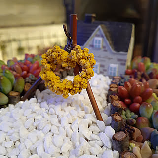 ハンドメイド/リース/ミモザ/リーススタンド/ガーデニング...などのインテリア実例 - 2020-02-20 20:34:42