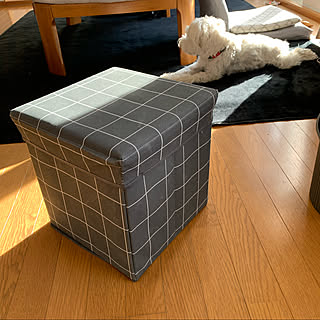 ダイソー フットレストのインテリア実例 Roomclip ルームクリップ