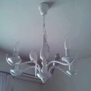 フランフラン照明 シャンデリアは寝室にのインテリア実例 Roomclip ルームクリップ