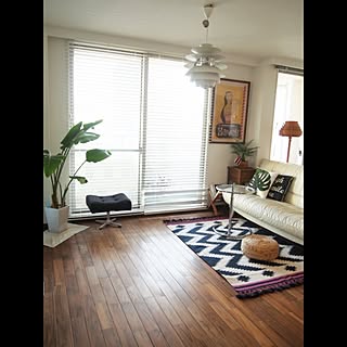 部屋全体/グリーン/観葉植物/ニトリ ウォーターヒヤシンス/エアラインポスター...などのインテリア実例 - 2017-05-06 21:27:52
