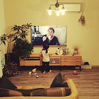 ソファー/TVboard/TVボード/TV台/見沼クラフト...などのインテリア実例 - 2015-10-02 22:17:41