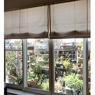 ベッド周り/カーテン/古いもの/朝の1枚/麻のカーテン...などのインテリア実例 - 2016-04-20 08:49:08