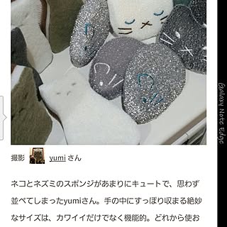 棚/magに記載して頂きました♡/にゃんこスポンジ/300coin/スポンジ...などのインテリア実例 - 2017-05-28 10:25:32