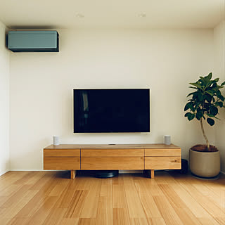 ルンバ960/risora/観葉植物/無印良品/SONY BRAVIA...などのインテリア実例 - 2019-06-22 07:25:06