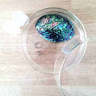 あわび貝殻のインテリア実例 Roomclip ルームクリップ