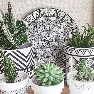 飾り皿のインテリア実例 Roomclip ルームクリップ