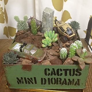 多肉植物 ジオラマのインテリア実例 Roomclip ルームクリップ
