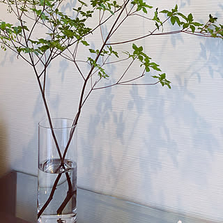 どうたんつつじのインテリア実例 Roomclip ルームクリップ