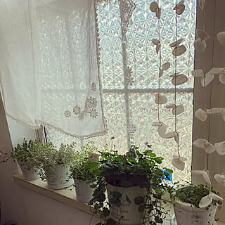 玄関窓の飾りのインテリア実例 Roomclip ルームクリップ