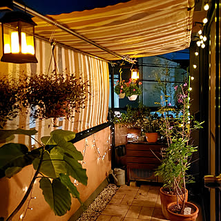 夜のベランダのインテリア実例 Roomclip ルームクリップ