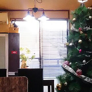 部屋全体/ブラインド/クリスマス/もみの木/DIY...などのインテリア実例 - 2016-12-17 16:19:14