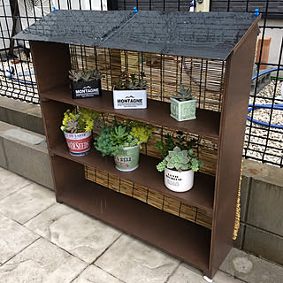 多肉植物 ベニヤ板のインテリア実例 Roomclip ルームクリップ