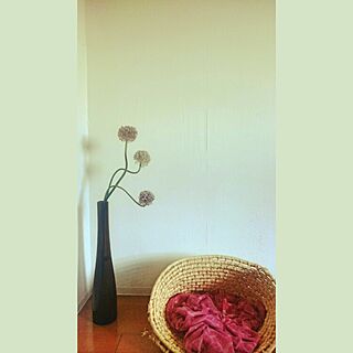 花瓶 アリウムのインテリア実例 Roomclip ルームクリップ