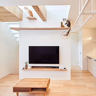 吹き抜け 猫と暮らすのインテリア実例 Roomclip ルームクリップ