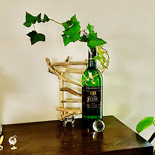 ワインの空き瓶のインテリア実例 Roomclip ルームクリップ