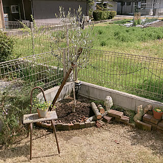ガーデニング/植え替えました/ジャンクガーデン/オリーブの木/RC兵庫支部...などのインテリア実例 - 2018-04-04 09:21:54