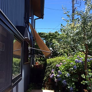 壁/天井/午後からの御仕事 頑張ります〜☆”/皆様 熱中症に気をつけて下さいね.:*✧/マイナス2〜3の効果有り❤︎/リビングの直射日光除けのオーニング...などのインテリア実例 - 2015-07-14 12:44:33