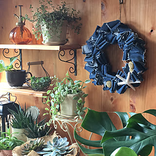 玄関/入り口/多肉植物/板壁DIY/デニム再利用/デニムリース手作り...などのインテリア実例 - 2018-09-09 15:10:18