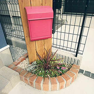 ガーデニング初心者 コルジリネ レッドスターのインテリア実例 Roomclip ルームクリップ