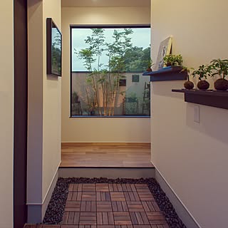 苔玉のインテリア実例 Roomclip ルームクリップ