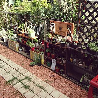 玄関/入り口/サボテン/エアープランツ/多肉植物/NO GREEN NO LIFE/男前...などのインテリア実例 - 2016-07-24 16:46:50