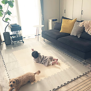 ジョイントマット 犬のいる暮らしのおしゃれなアレンジ 飾り方のインテリア実例 Roomclip ルームクリップ