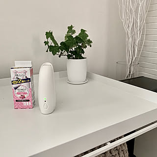 エステー自動でしゅぱっと/こんにちは/香りのある暮らし/コメントスルーで大丈夫です♡/お気に入りのインテリア実例 - 2019-07-28 11:32:23