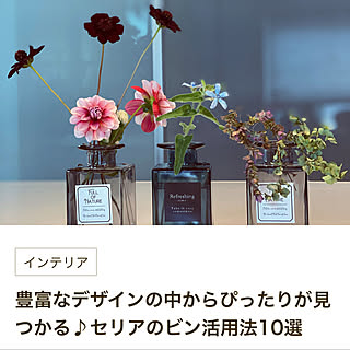 Seria セリア ビンのインテリア実例 Roomclip ルームクリップ