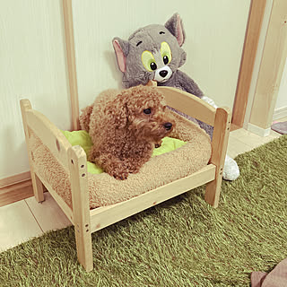 部屋のインテリア実例 Sunsunさん Room No の部屋 Roomclip ルームクリップ