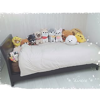 豆しば三兄弟のインテリア実例 Roomclip ルームクリップ 豆しば三兄弟のインテリア実例 Roomclip ルームクリップ